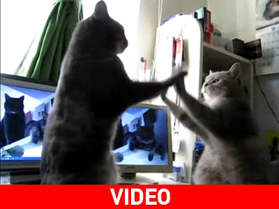 Δεν είναι καθρέφτης…